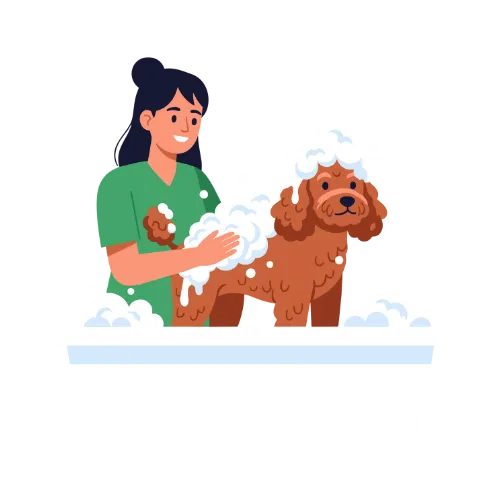 Pet Grooming