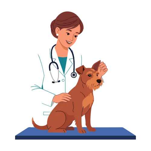 Veterinary & Wellness