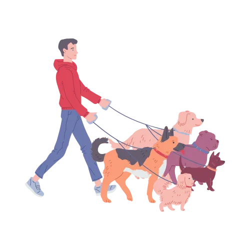 Pet Walking & Training