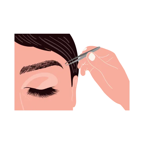 Eyebrow Lamination