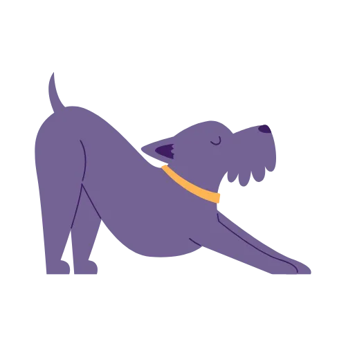 Physiotherapy & Rehabilitaion