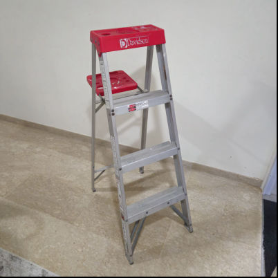 Image Davidson Painting ladder