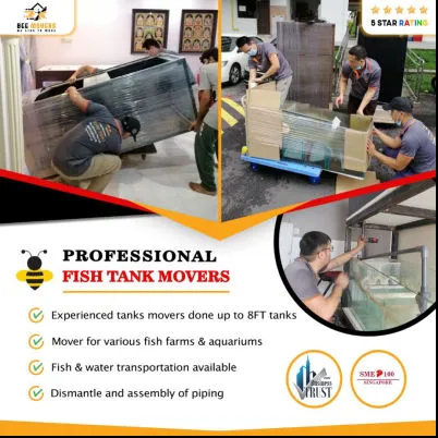 Image Moving? Let the bee's help you out! BZzz..