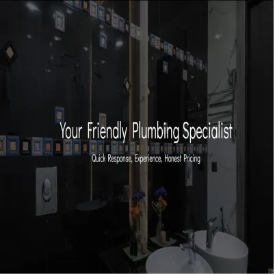 Image Professional Plumbing Help 24/7