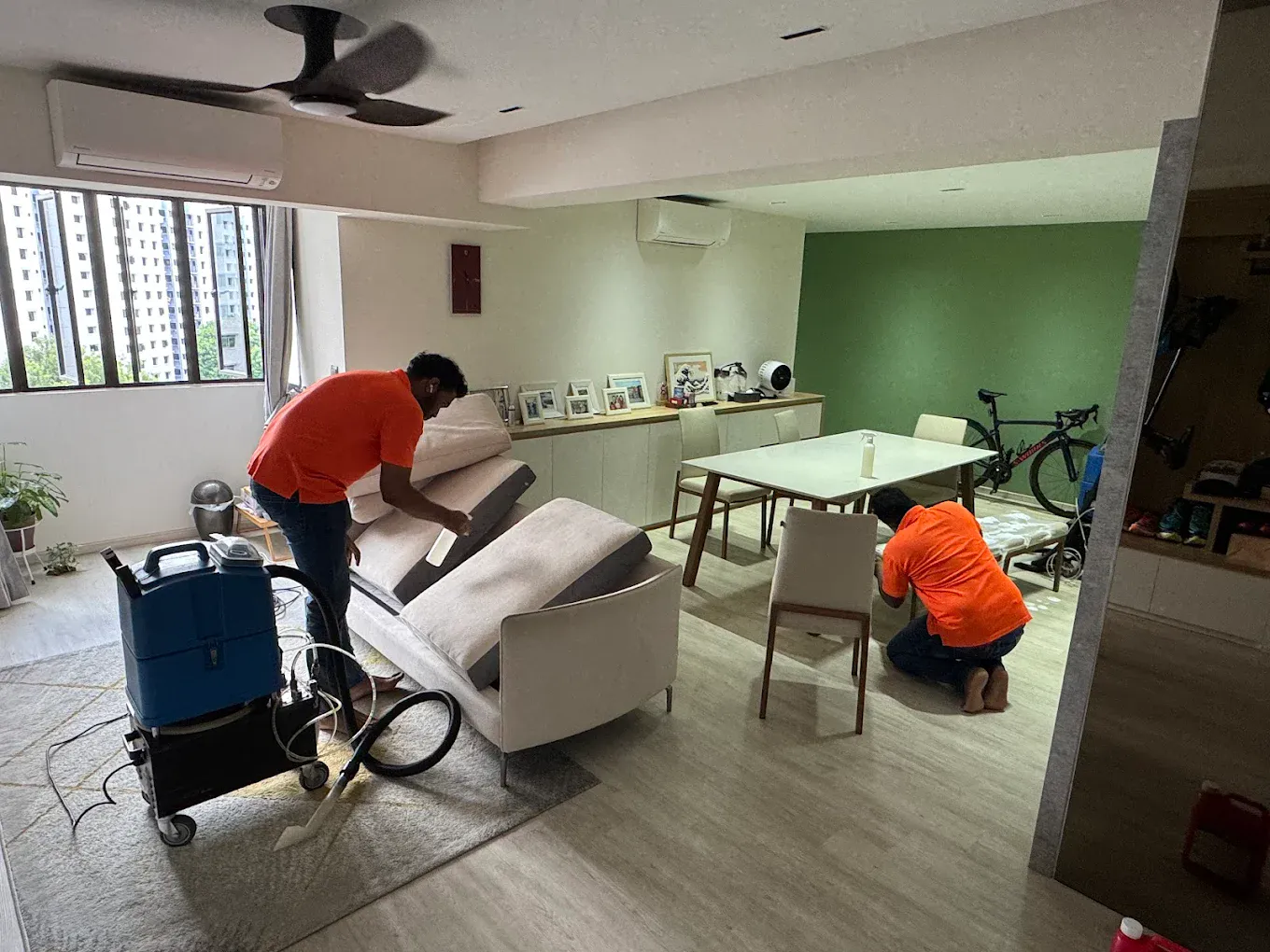 Image Sofa & Rug Cleaning Excellence by Ranidu