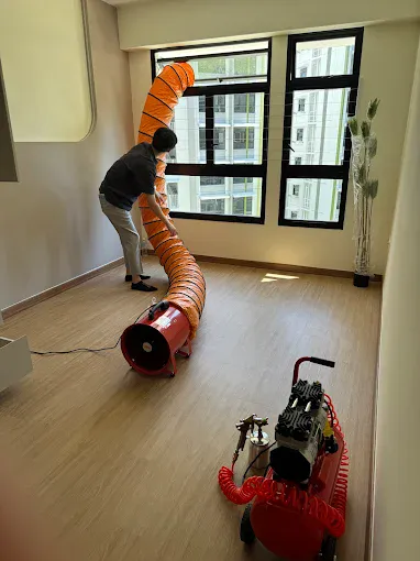 Image Alvin and Derrick's Exceptional Formaldehyde Cleaning