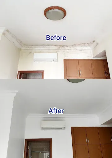 Image Suren's Outstanding Mold Remediation at Mold Medic Pte Ltd