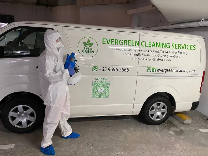 Image Myo's Exceptional Post-Renovation Cleaning