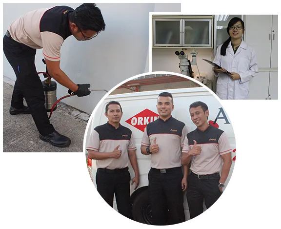 Image GreenCare Pest Control: Alex's Outstanding Service