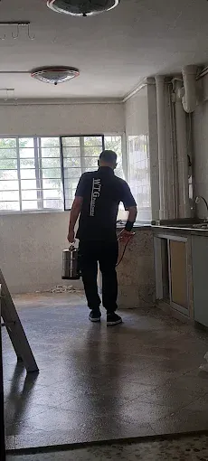 Image Pest control service in Mould & Booklice Problem Solved Fast by Mr. Tay – WTG Pest Control Singapore
