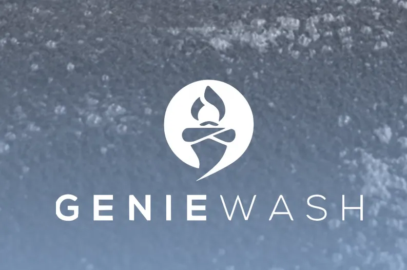 Image Wilson's meticulous Genie Wash detailing – a thorough clean, though time-consuming!
