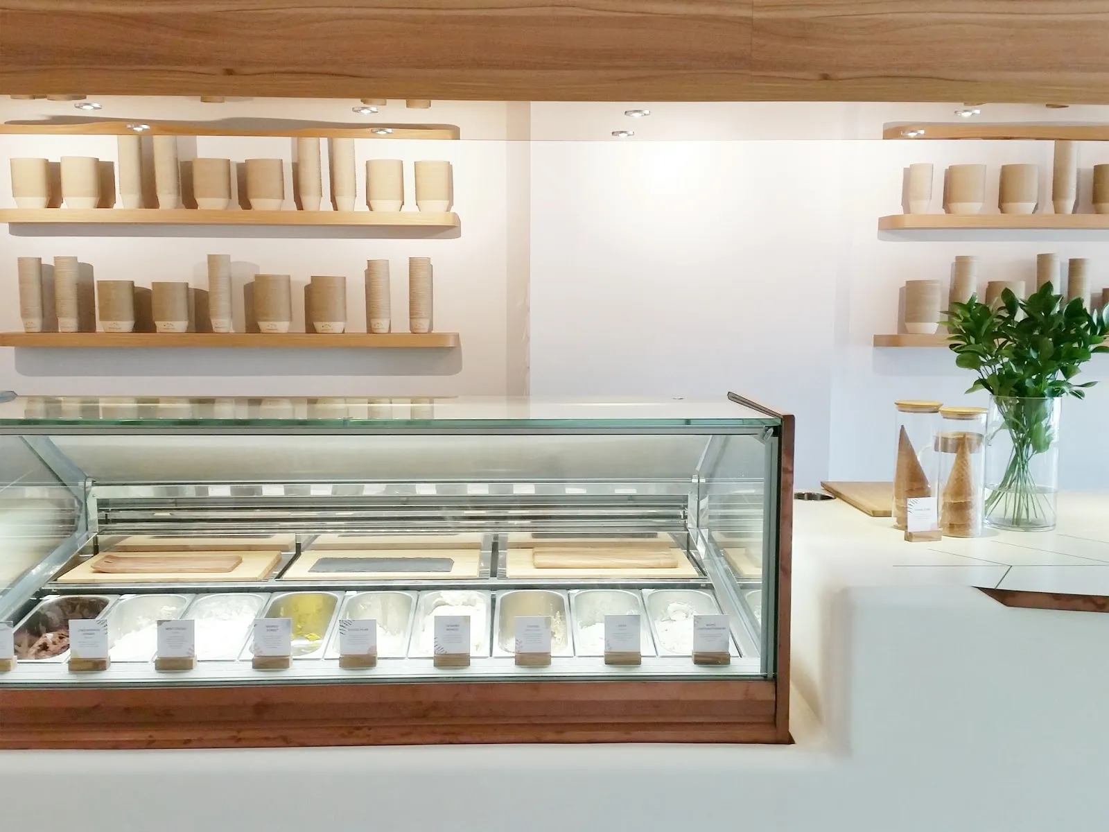 Image Birds of Paradise Gelato Boutique