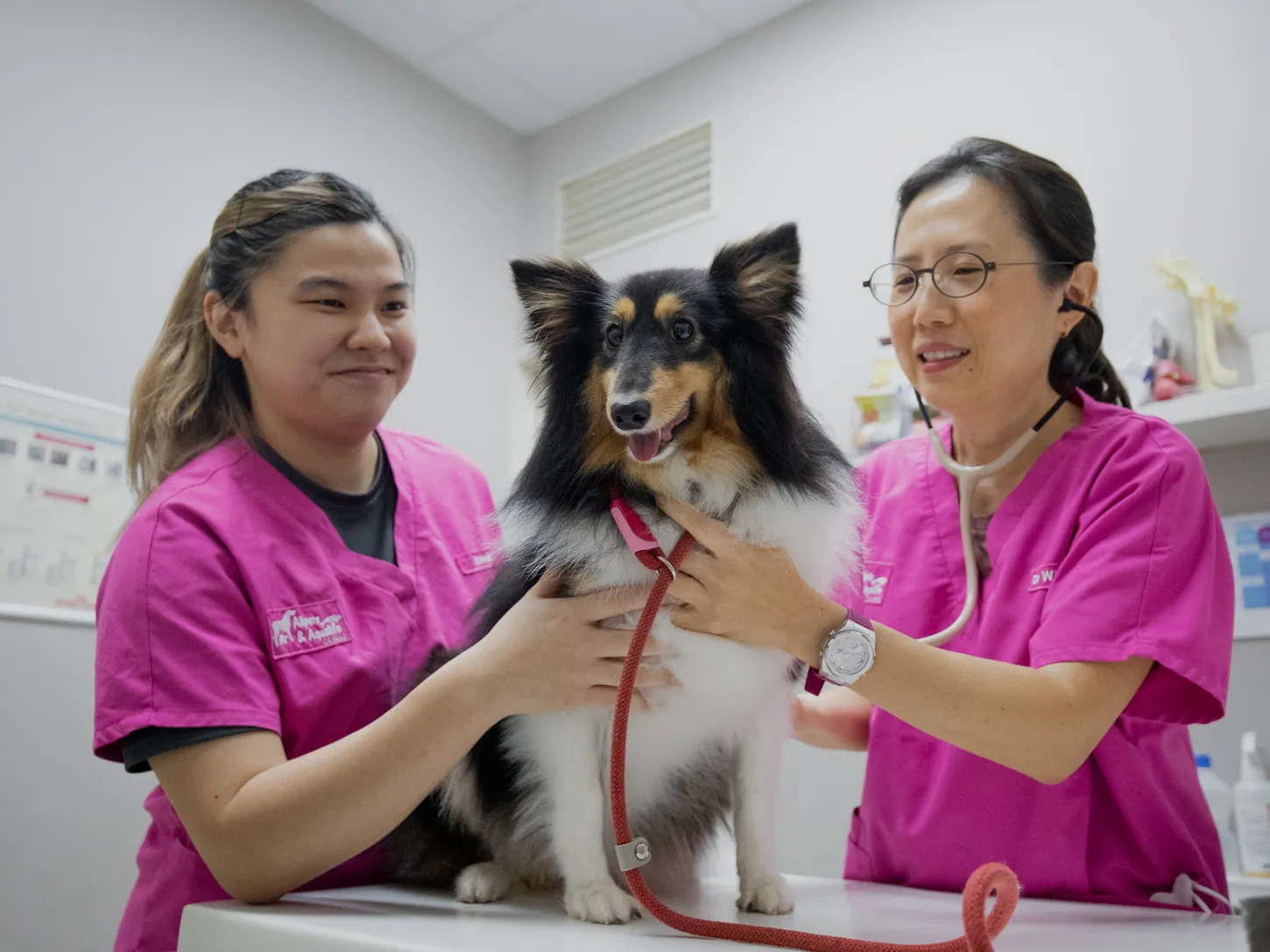 Image A well-rounded neighborhood vet clinic offering everything from general pet care to exotic animal services with modern facilities and a caring team.