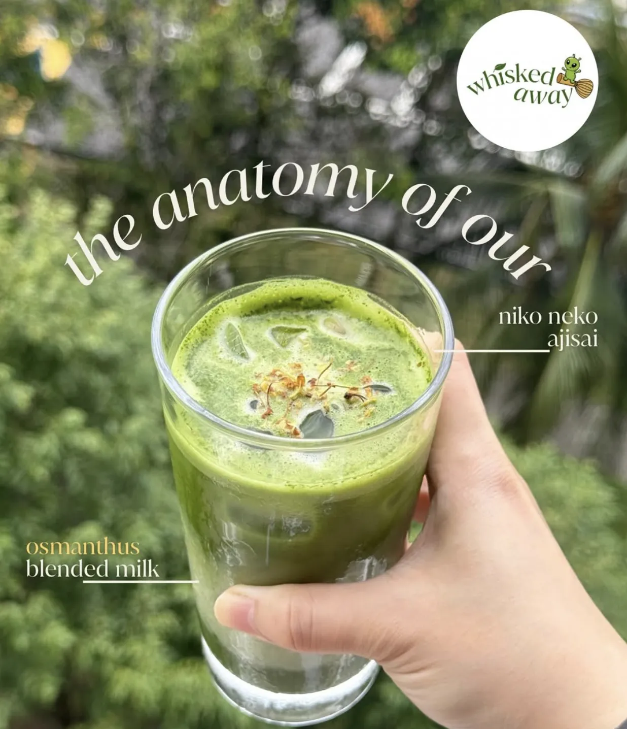 Image 𝒘𝒉𝒊𝒔𝒌𝒆𝒅 𝒂𝒘𝒂𝒚