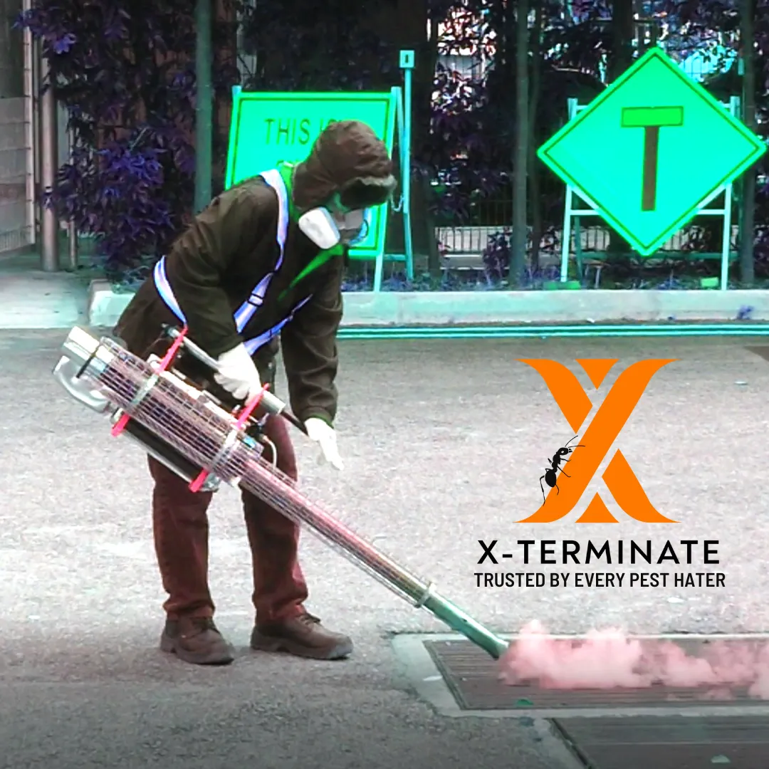 Image X-TERMINATE PEST CONTROL