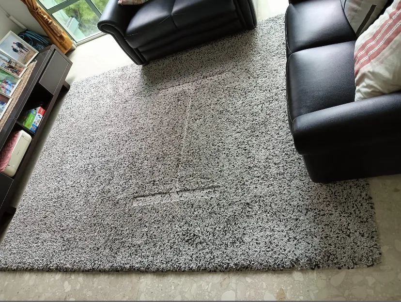 Image Carpet Cleaning Singapore